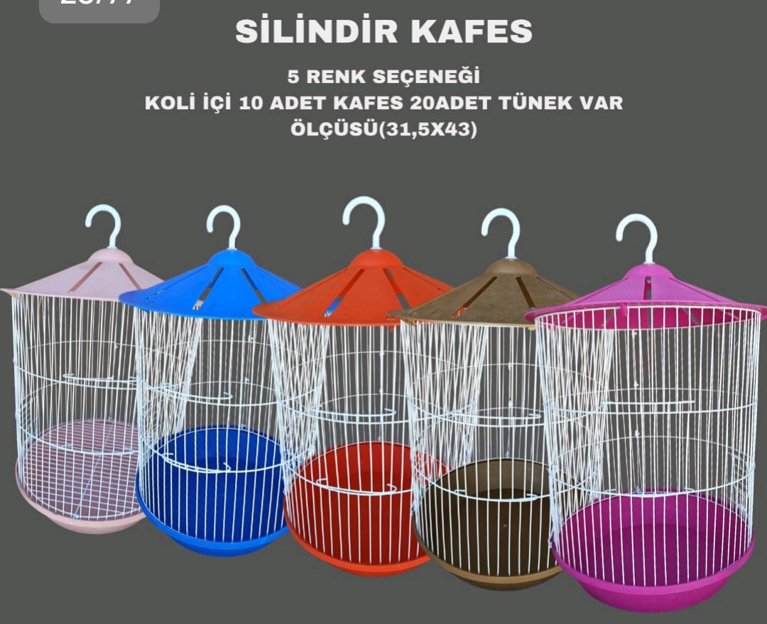 Text