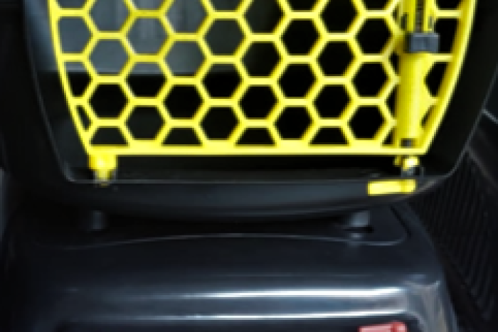 Text