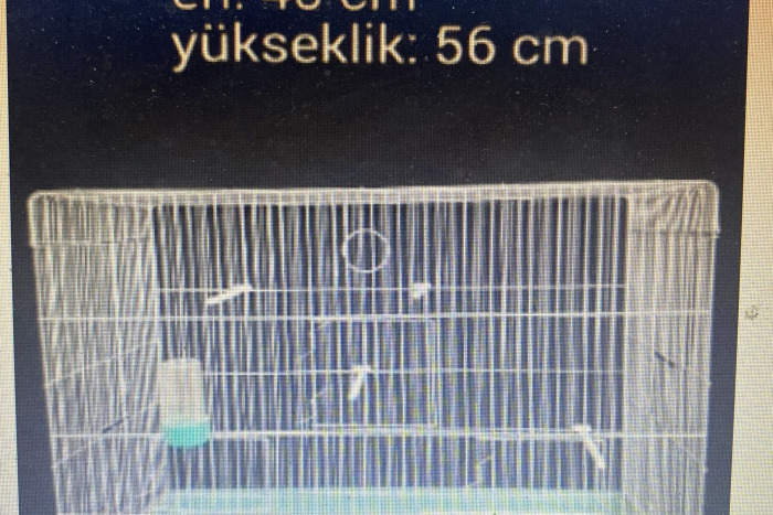 Text