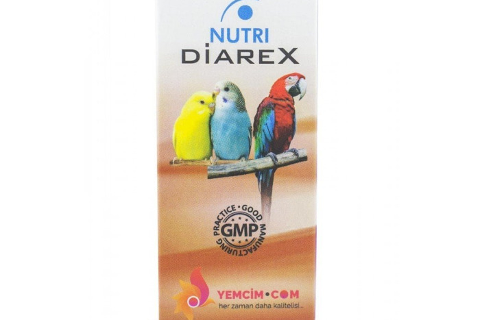 Text