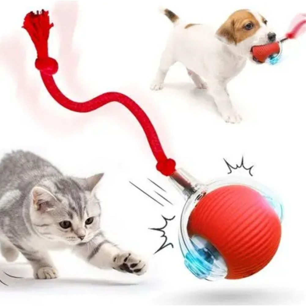 KEDİ OYUN TOPU ŞARZLI HAREKETLİ