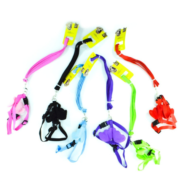 20-28-30 CADO PET 1,5 CM KANATLI BEL TASMA TAKIM