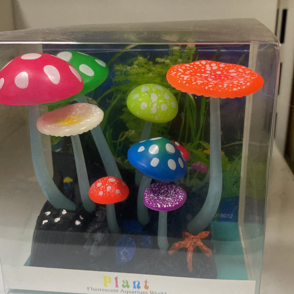 BİTKİ MANTAR (12-12) CM