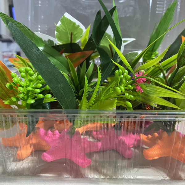 DEKOR BİTKİ YILDIZ 10LU