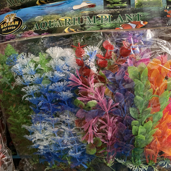 BİTKİ 20CM (10 LU)