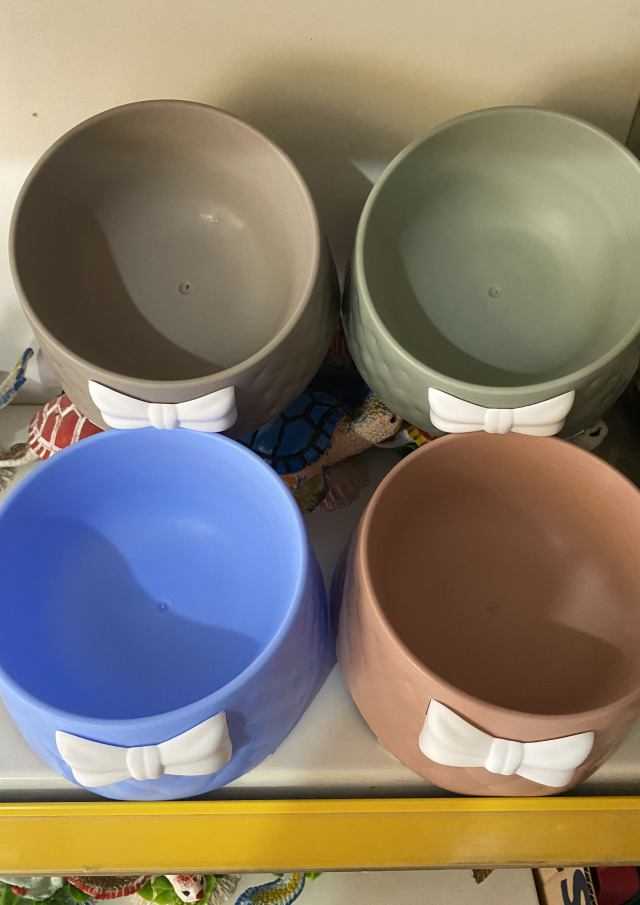 Papyonlu Mama Kabı Plastik