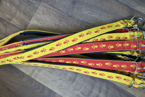 KÖPEK KOLON TASMA PATİ DESENLİ 50CM