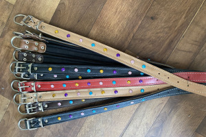 KÖPEK TASMA DÜĞMELİ 55CM