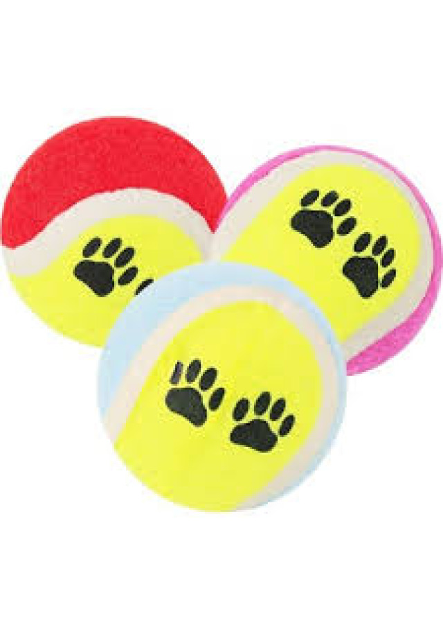 Köpek Oyun Tenis Topu 6.5 cm 3lü Set